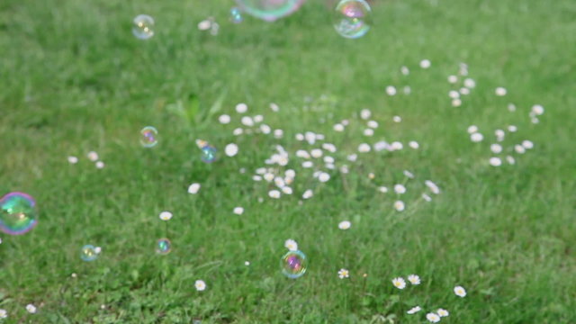 Soap bubbles on meadow