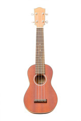 Fototapeta premium The image of a hawaiian guitar