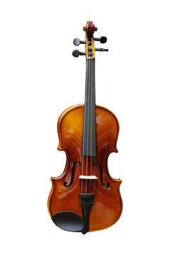 Violin isolated under the white background