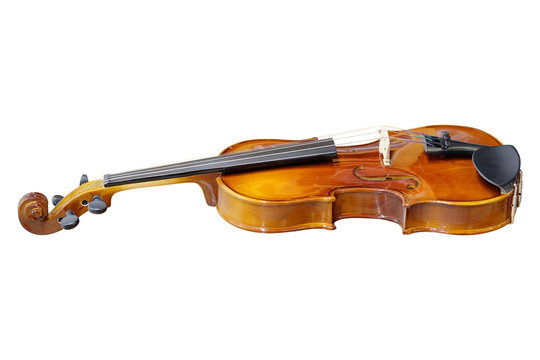 Violin isolated under the white background