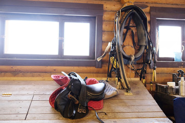Horse equipment - saddlery