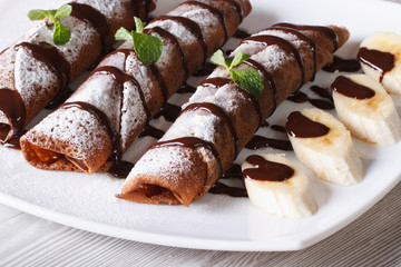 chocolate crepes with fruit and sauce close-up. Horizontal