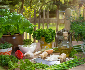 frische Kräuter und Gemüse aus dem Garten