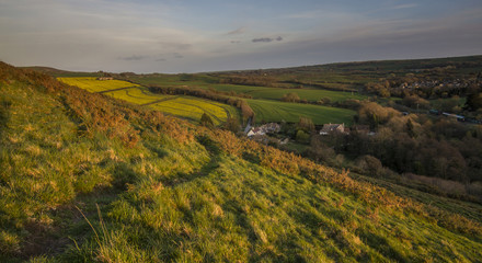 Sunset with autumn colours and yellow field