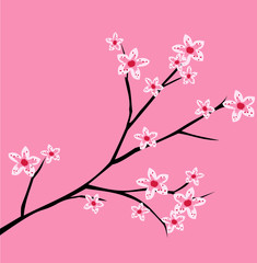 Cherry blossom, spring branch with flowers blooming vector