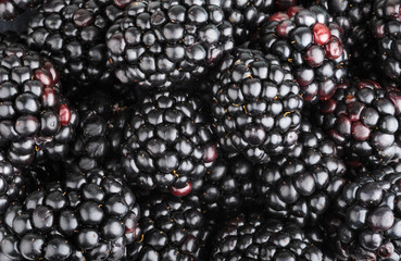 Blackberries background
