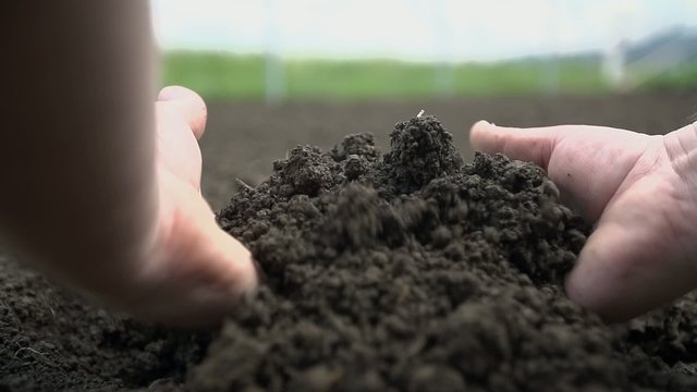 Point of view shot of two hands grabbing the soil and letting it to fall back  