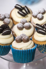 Assortment Of Cupcakes - Celebration - Anniversary - Events