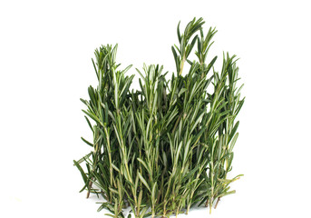 fresh rosemary