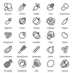 collection  vegetables vector set