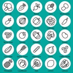 collection  vegetables vector set