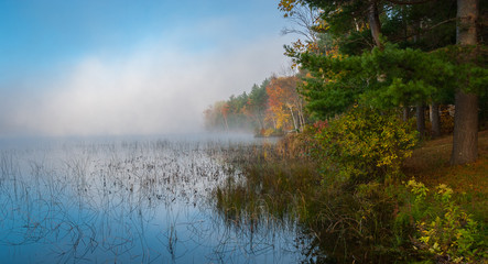Foggy morning on the lake.