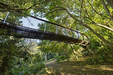 Kirstenbosch National Botanical Garden in Cape Town South Africa