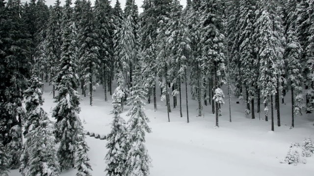a idyllic ski slope in the winter time full of snow