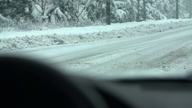 The road next to the forest with a lot of slush