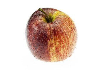 gala apple on white background cutout