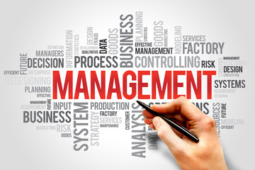 MANAGEMENT word cloud, business concept