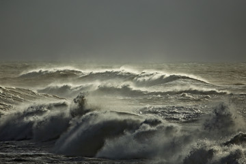 Rough sea