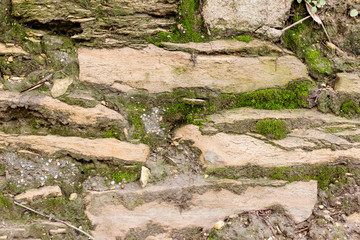 A moss  stone wall  background