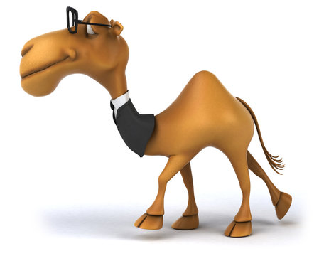 Cartoon Camel Images – Browse 17,900 Stock Photos, Vectors, and Video |  Adobe Stock