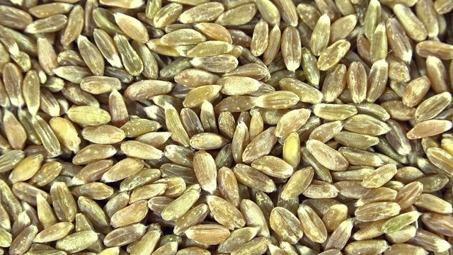 Portion of Green Spelt (loopable)