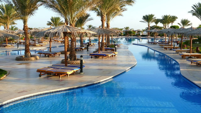 Swimming pool with palm trees in resort at morning