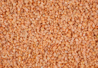 Red lentil background