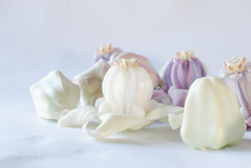 Crown Flower