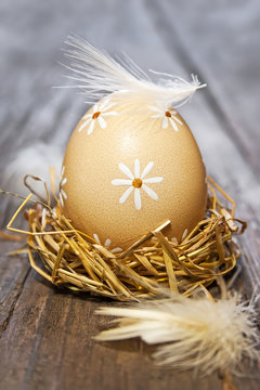 Easter egg in nest