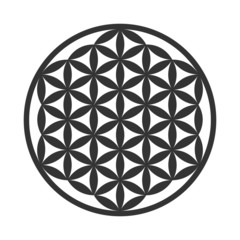 Flower of Life Symbol - Vector Set (Chakra Colours)