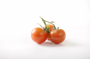 Tomato