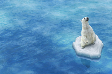 Fototapeta premium Ours Blanc / Fonte des glaces