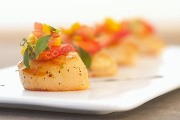 Ultimate Scallop