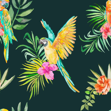 Macaw seamless pattern.Palm leaves and tropical flower.