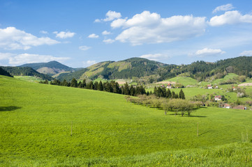 Landschaftsbild, Fischerbach, Schwarzwald, Baden-Württemberg, D