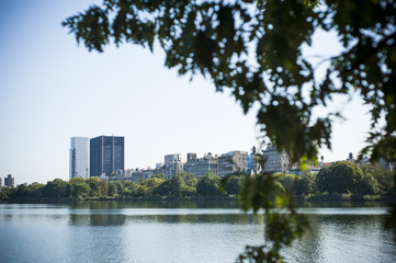 Obraz premium New York Scenes