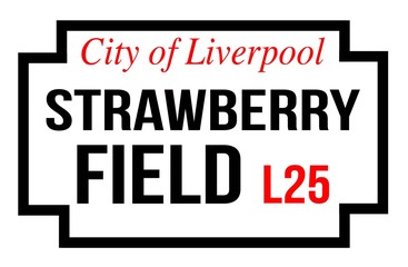Fototapeta premium Strawberry Field