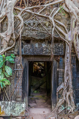Fototapeta na wymiar Ta Prohm Angkor Wat Cambodia