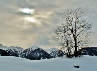 Kahle Winterlandschaft