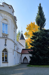Pałac w Radziejowicach