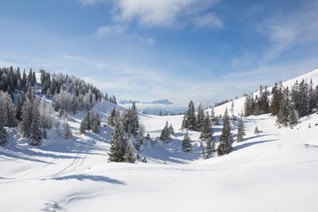 Fototapeta na wymiar Winter Landscape At Mt. Dobratsch