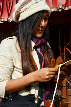 Thai Photography looking entrance ticket of Patan Durbar Square