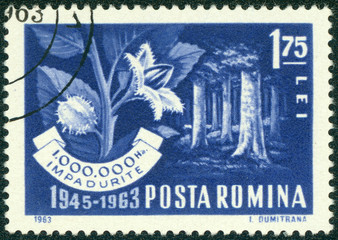stamp printed in the Romania shows Beech Forest and Branch