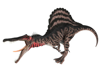 Obraz premium Dinosaur Spinosaurus