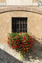Window and red flowers