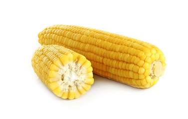 ears of corn on white background