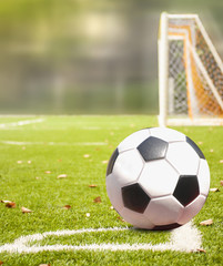 Obraz premium The football field