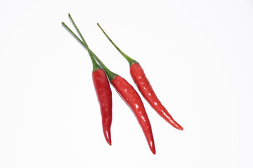 Red chili peppers isolated on white background