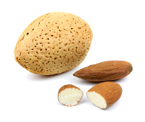 almond and shell on a white background.