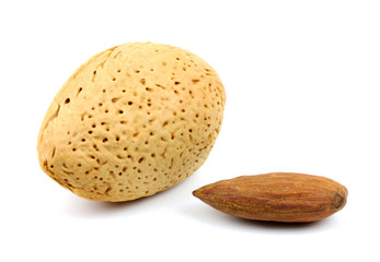 almond and shell on a white background